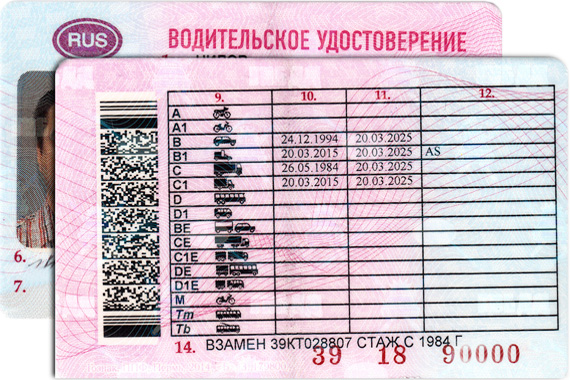 Как выглядит водительское удостоверение