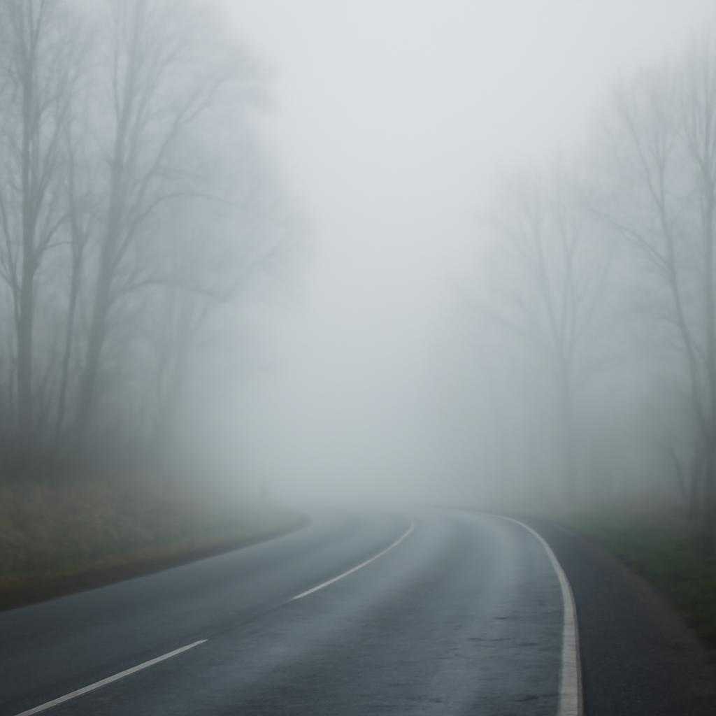 Рулевое чутьё среди молока