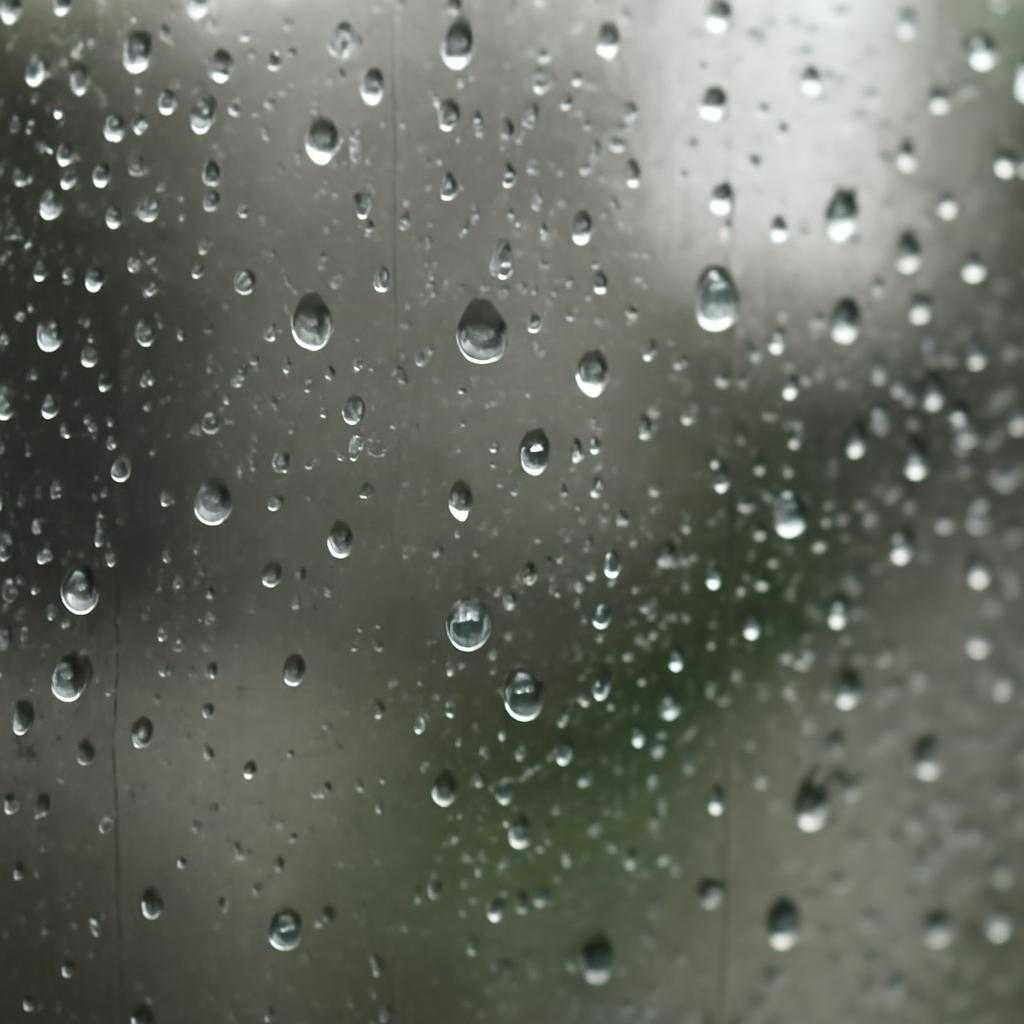 Теневая гидросфера багажника: причины влаги